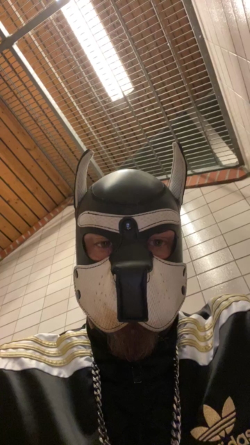 machobulle2  17-10-2021 Recorded Video Porn